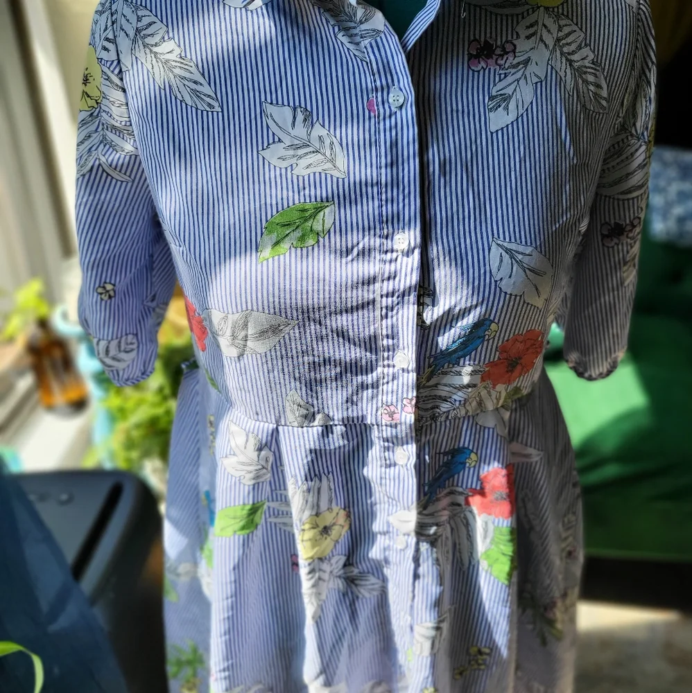 Striped Floral Button-Front Shirt Dress with Bird Print - Blue/White - Picture 2 of 4